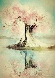 家装墙漆哪种最好